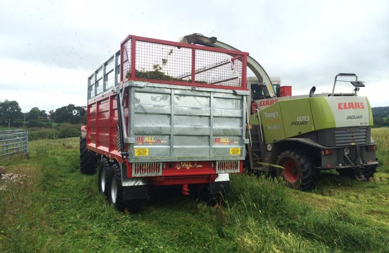 Trailer easily filled from harvester spout